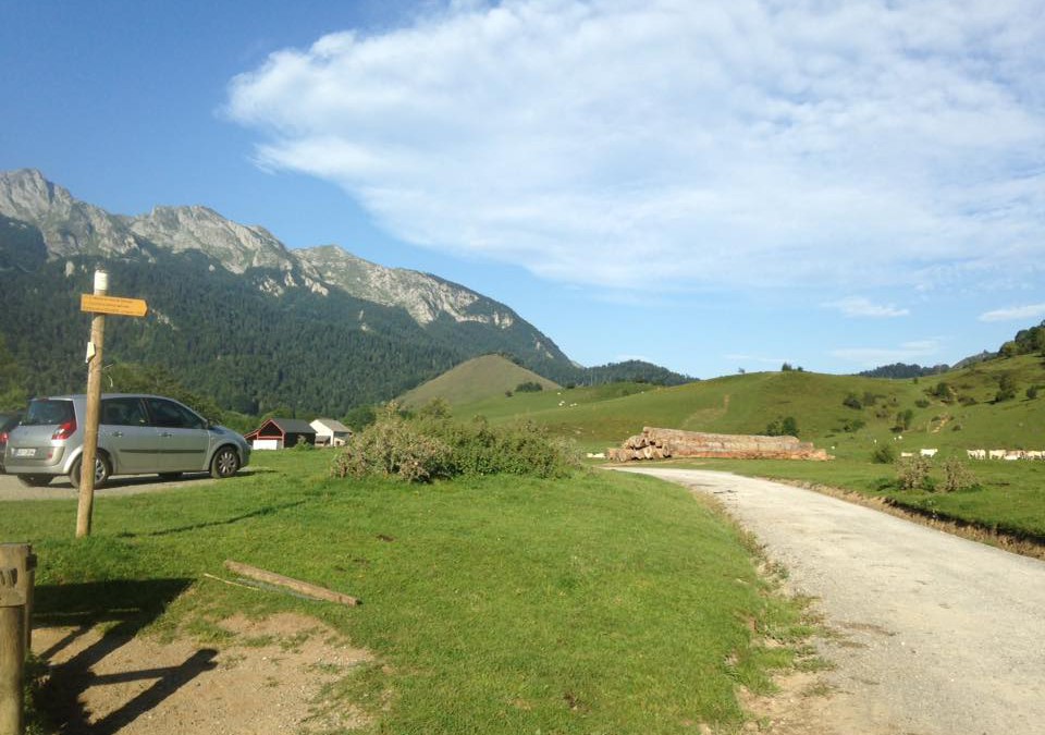 Modèle sortie commune 1