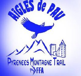 Pyrénées section trail montagne