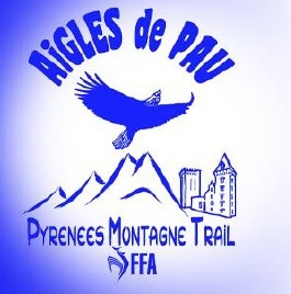Pyrénées section trail montagne